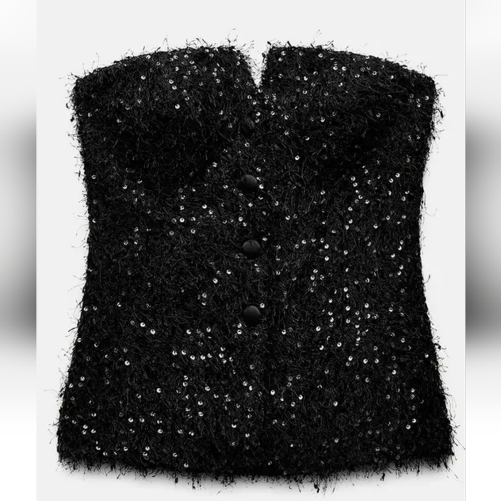 Zara Fringed Sequin Bustier Top